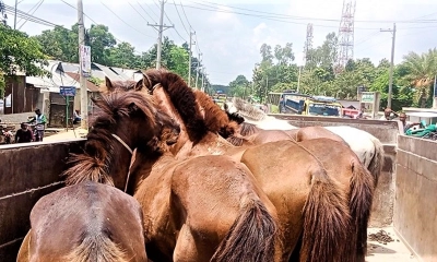 ছবি- রূপালী বাংলাদেশ