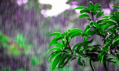 ঝরবে বৃষ্টি, তাপমাত্রা নিয়ে সুখবর