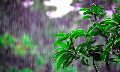 বৃষ্টি নিয়ে বড় সুখবর