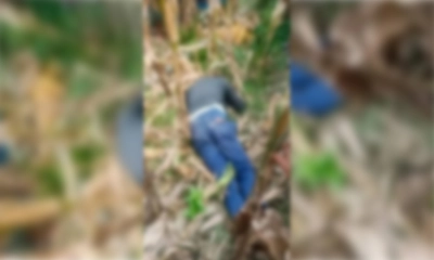 লালমনিরহাটে সুপারি গাছ থেকে পড়ে একজনের মৃত্যু
