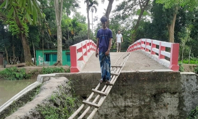 সেতুর সামনে নেই সড়ক, উঠতে হয় মই দিয়ে