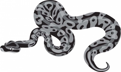 ছবি-সংগৃহীত
