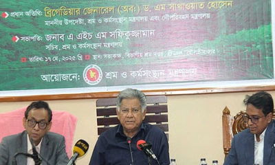 চা-বাগান দেখতে টিকিট কাটতে হবে: শ্রম উপদেষ্টা