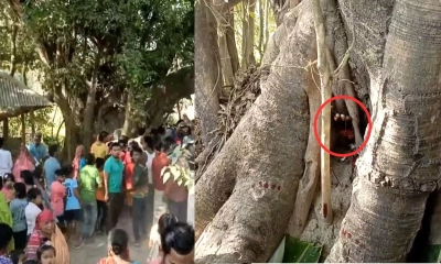 বটগাছের ভেতর থেকে বেরিয়ে এলো ত্রিশূল-হাত!