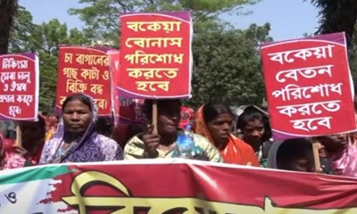 বেতনের দাবিতে রোববার সিলেট বিমানবন্দর সড়ক অবরোধের ঘোষণা চা শ্রমিকদের