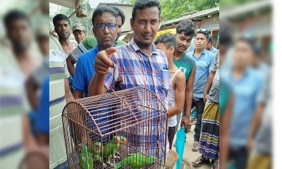 ফেসবুকে পোস্ট দিয়ে পাখি বিক্রি, বিক্রেতা গ্রেপ্তার