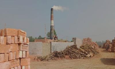 নাটোরে ছাড়পত্র বিহীন চলছে সুপার ইটভাটা