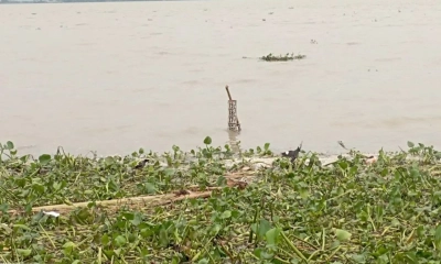 সিরাজগঞ্জে বাড়ছে যমুনার পানি, বন্যার আশঙ্কা 