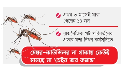 মৌসুম শুরুর আগেই  চোখ রাঙাচ্ছে ডেঙ্গু
