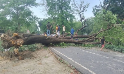 ঠাকুরগাঁওয়ে কালবৈশাখী ঝড়ে ব্যাপক ক্ষয়ক্ষতি