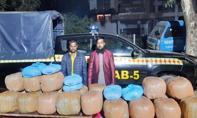 আদমদীঘিতে ৯৮ কেজি গাঁজাসহ ২ মাদক ব্যবসায়ী গ্রেপ্তার