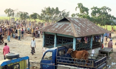 অবৈধ পশুর হাটে মহাসড়কে যানজট