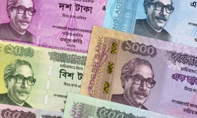 নতুন টাকায় মুজিবের ছবির বদলে কী থাকছে?
