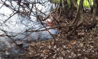 সুন্দরবনে নতুন এলাকায় ফের আগুন