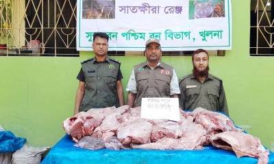 কয়রায় ৫০ কেজি হরিণের মাংস উদ্ধার