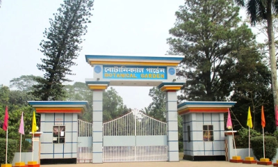 বাকৃবির বোটানিক্যাল গার্ডেন: প্রকৃতির এক নীরব পাঠশালা