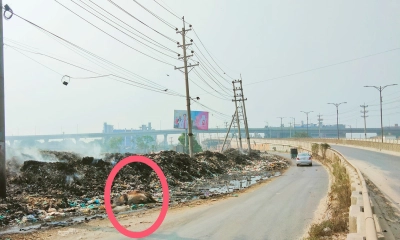 নারায়ণগঞ্জে বাইপাস সড়ক যেন ময়লার ভাগাড়