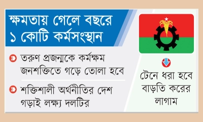বিএনপির প্রতিশ্রুতি চ্যালেঞ্জিং মনে করেন বিশেষজ্ঞরা