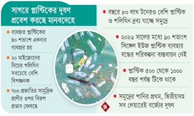 প্লাস্টিক দূষণে জীবন দুর্বিষহ
