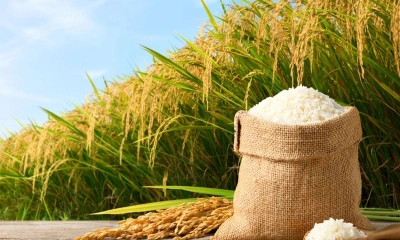 রিজিক নিয়ে কোরআনের আয়াত