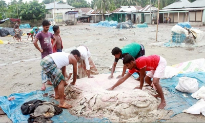লবণ দিয়ে চামড়া সংরক্ষণ। ছবি- সংগৃহীত