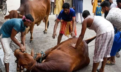 কোরবানির করার দোয়া