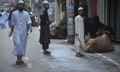 ঈদুল আজহার দ্বিতীয় দিনেও চলছে কোরবানি