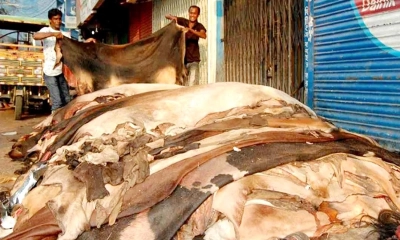 চামড়ার বাজারে দাম কম, ব্যবসায়ীরা হতাশ