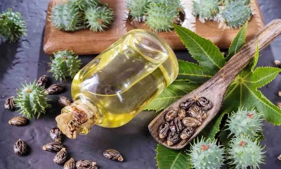 ক্যাস্টর অয়েলের উপকারিতা