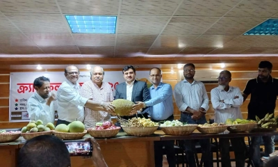 ক্র্যাবের ফল উৎসবে দেশীয় নানা ফলের সমাহার