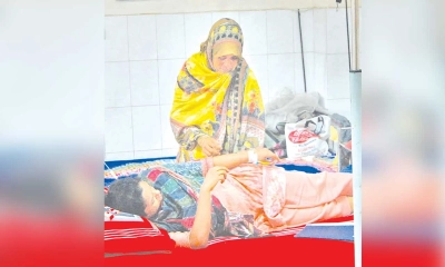 ডেঙ্গু-করোনার সঙ্গে চিকুনগুনিয়ার চোখরাঙানি
