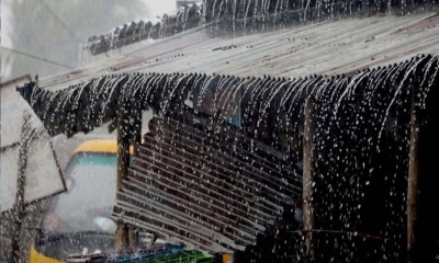 ফাইল ছবি