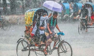 ফাইল ছবি