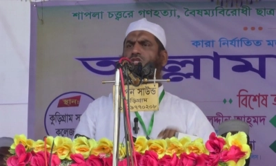 ওয়াশিংটনের গোলামি করার জন্য চব্বিশে শিকল ভাঙিনি: মামুনুল হক