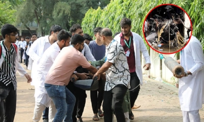 বার্ন ইনস্টিটিউট ও ঢামেকে ৫০ জনের পরিচয় শনাক্ত, ৭ জন আইসিইউতে