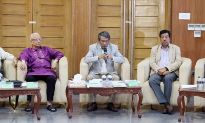 তত্ত্বাবধায়ক সরকার ব্যবস্থা পরিবর্তনে গণভোটের বিষয়ে ঐকমত্য: আলী রীয়াজ