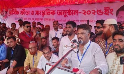নির্বাচন হলে ২৫০টির বেশি আসন পাবে বিএনপি: দুলু 