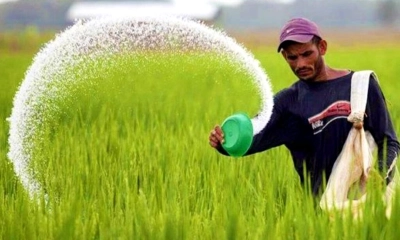ইউরিয়া আমদানিতে অস্বাভাবিক দরপত্র : লুকানো দুর্নীতির আভাস!