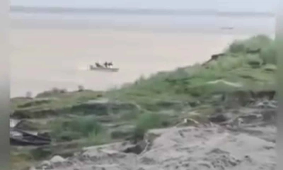 ভিডিও থেকে নেওয়া ছবি।