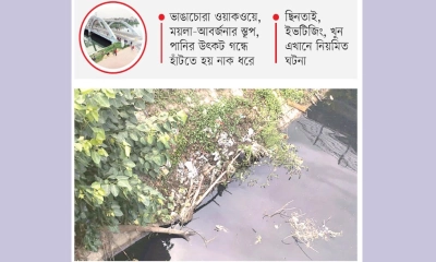 অযত্নে মলিন হাতিরঝিল