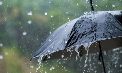 ছবি- সংগৃহীত