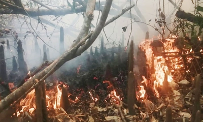 সুন্দরবনে আগুন, নেভাতে বেগ