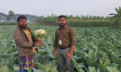 মেহেরপুরের কৃষকের পাশে ‘স্বপ্ন’