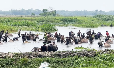 দিনদুপুরে জলাশয় থেকে মাছ লুট