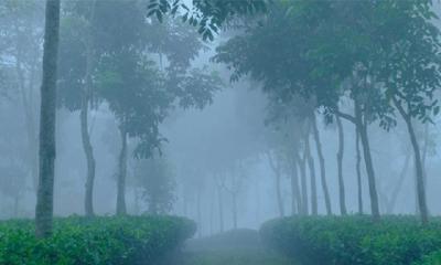 ৮.৯ ডিগ্রিতে কাঁপছে শ্রীমঙ্গল