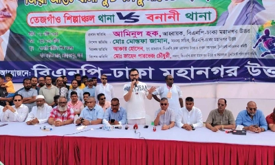 নির্বাচন ডিসেম্বরেই চাই: আমিনুল হক 