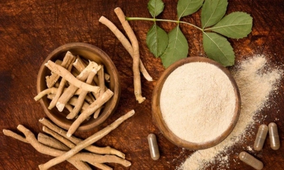 অশ্বগন্ধার উপকারিতা-অপকারিতা
