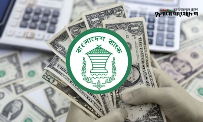 বৈদেশিক মুদ্রার রিজার্ভ এখন ৩০ বিলিয়ন ডলার