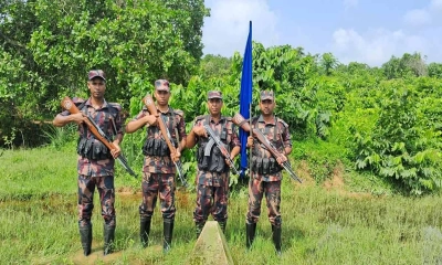 সীমান্ত দিয়ে চামড়া পাচার রোধে কঠোর অবস্থানে বিজিবি