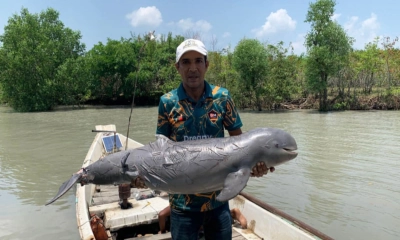 বরগুনায় মৃত ডলফিন উদ্ধার
